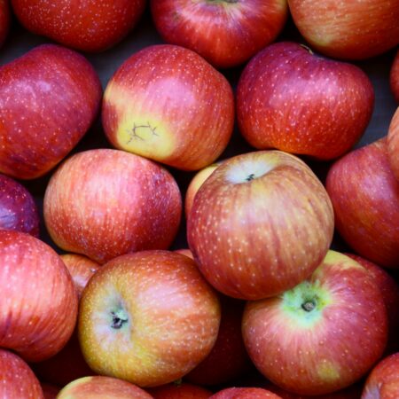 Delicious Royal Apples – Fresh from the Orchards of Himachal Pradesh