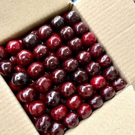 Fresh Organic Cherries – Sweet & Juicy from the Orchards of Himachal Pradesh